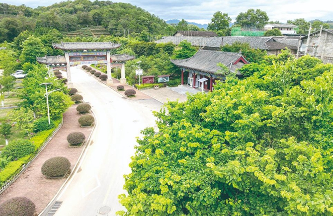 蒼梧六堡特色小鎮建設見證茶產業強勢崛起