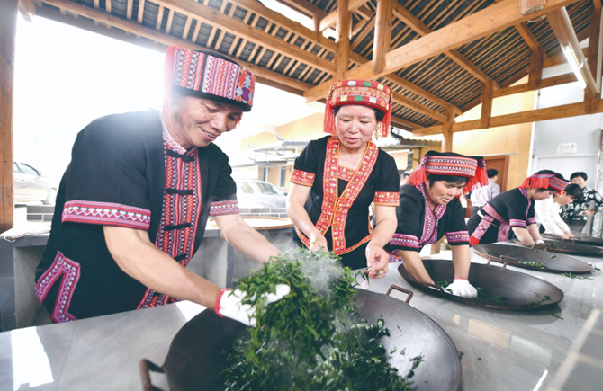 2024年蒼梧縣六堡茶開茶節活動精彩紛呈