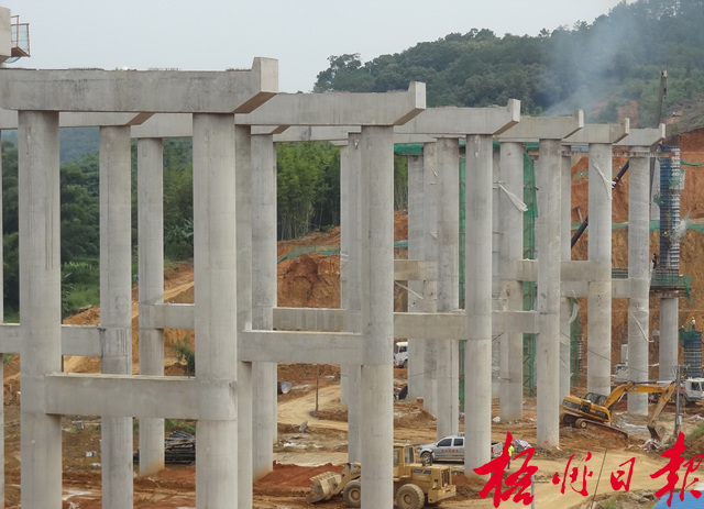 10月9日，在梧柳高速公路倒水互通施工現(xiàn)場(chǎng)，施工單位正加快推進(jìn)互通主線一號(hào)橋及互通C匝道、D匝道的樁柱（基）混凝土的澆筑作業(yè)?！　　　　　　　　↑S東榮 攝